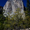 Yosemity 1