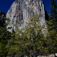 Yosemity 1