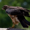 Lake Manyara