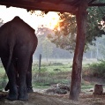 Chitwa NP