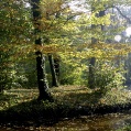 Podzámka 33