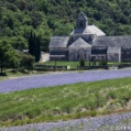 Abbey d&#039; Senangue