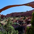 NP Arches