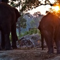 Chitwa NP