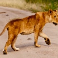 Lake Manyara