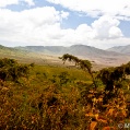 Cesta do Ngorogoro