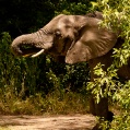 Lake Manyara