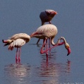 Lake Manyara