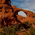 NP Arches