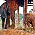 Chitwa NP