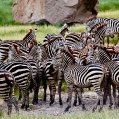 Lake Manyara