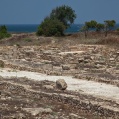 Paphos 10