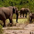 Lake Manyara